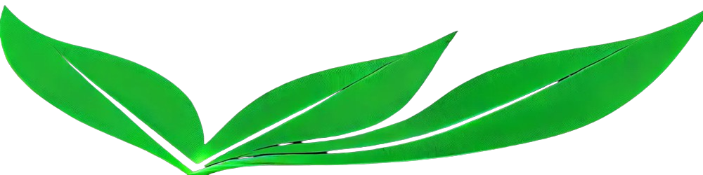 Dekorasi Daun